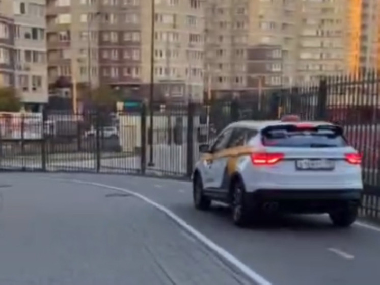 Таксиста оштрафовали за проезд по велодорожке в Мытищах