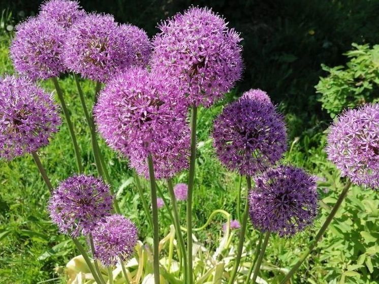 В Подмосковье сегодня будет самый жаркий день этой весны