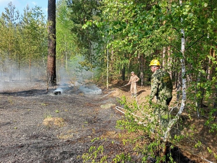 Лесной пожар заметили всего в 4 км от города Ступино