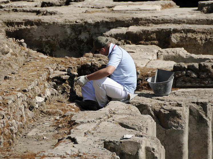 Археологи обнаружили девять огромных захоронений животных: «Экстраординарная находка»