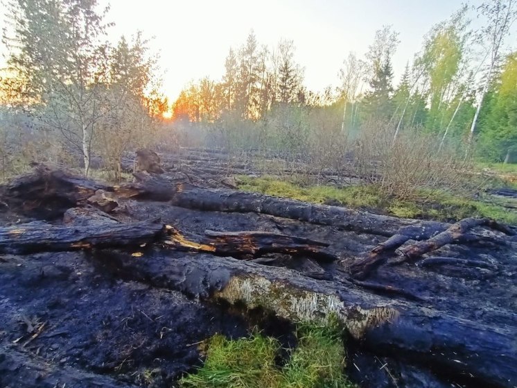 «Желтый» уровень опасности в Подмосковье продлили до 31 мая