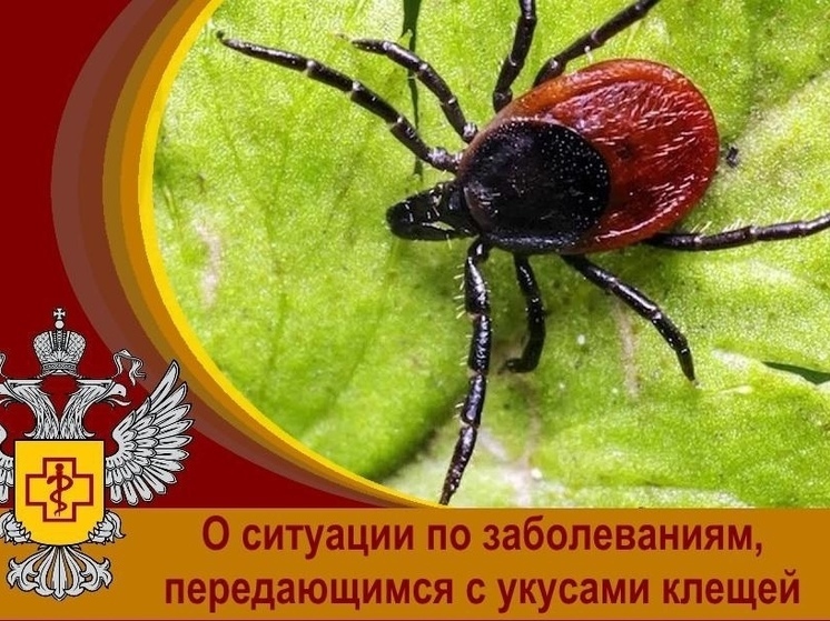 В Хабаровском крае зарегистрирован случай заражения человека клещевым энцефалитом