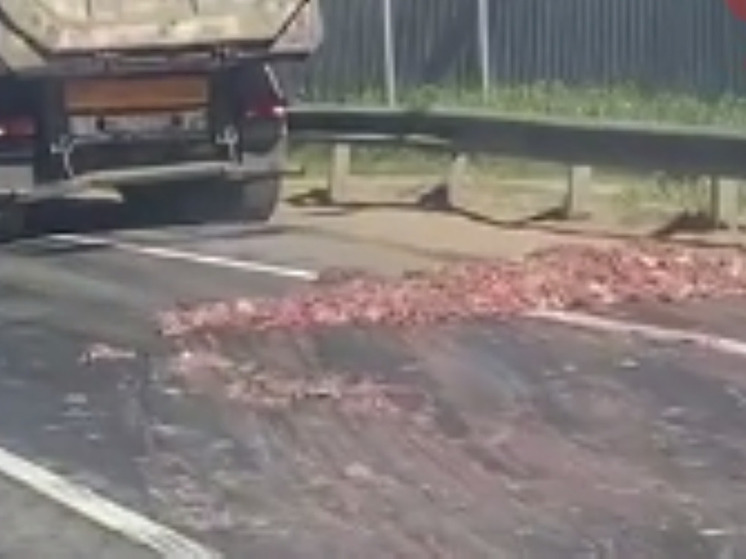 Грузовик с тухлым мясом опрокинулся на трассе в Подмосковье