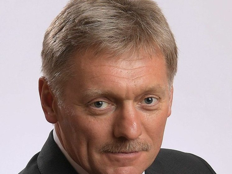 Песков: относительно статуса Зеленского существуют разные точки зрения