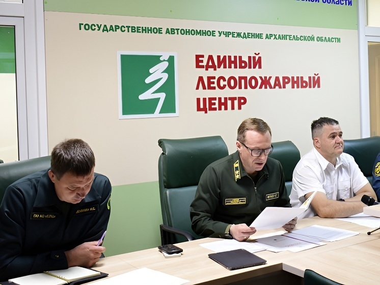В мае в Поморье ликвидировано 10 лесных пожаров
