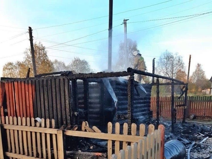 Семья добровольцев спасла дом от огня в Няндоме