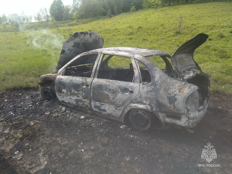 В Брянской области сгорел очередной легковой автомобиль