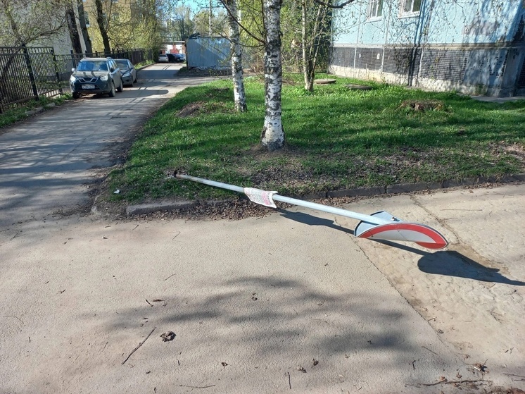 Полиция задержала вандала, сломавшего светофор и дорожные знаки в Вологде