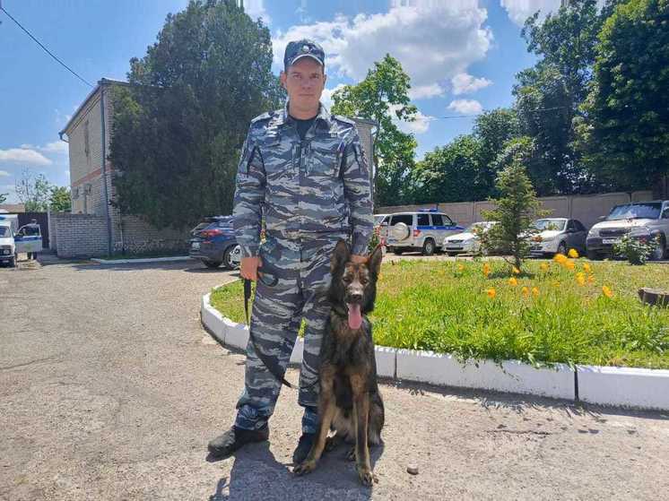 В Гулькевичском районе служебная собака нашла без вести пропавшего мужчину