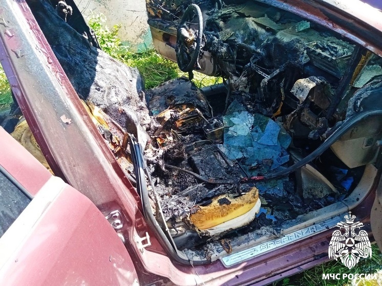 В Духовшинском районе сгорел автомобиль