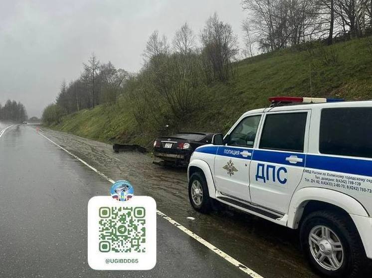 В Углегорском районе произошло смертельное ДТП с медведем