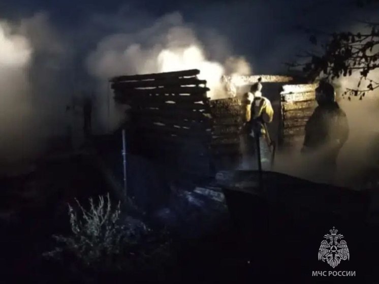 В Барнауле мужчину госпитализировали с ожогами после ночного пожара в доме