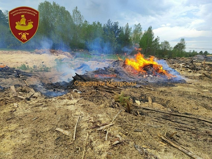 В Костромской области загоревшиеся опилки чуть не привели к лесному пожару