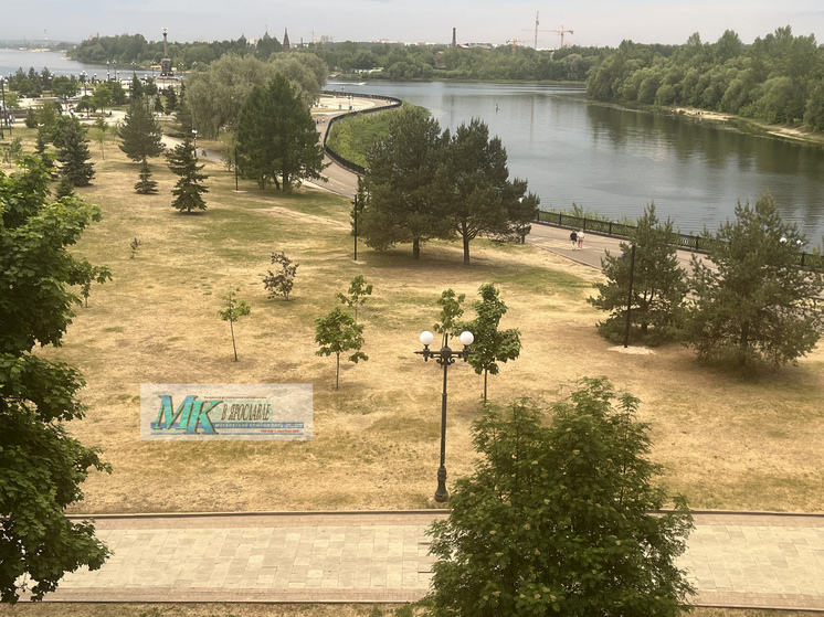 В Ярославле Стрелка превратилась в выжженную степь