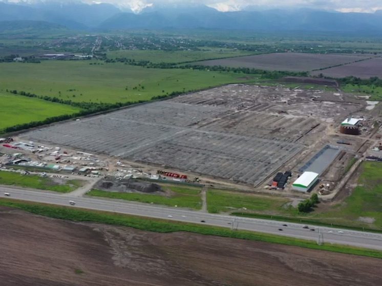 Глава Северной Осетии: в республике будут выращивать 34 тыс. тонн помидоров в год