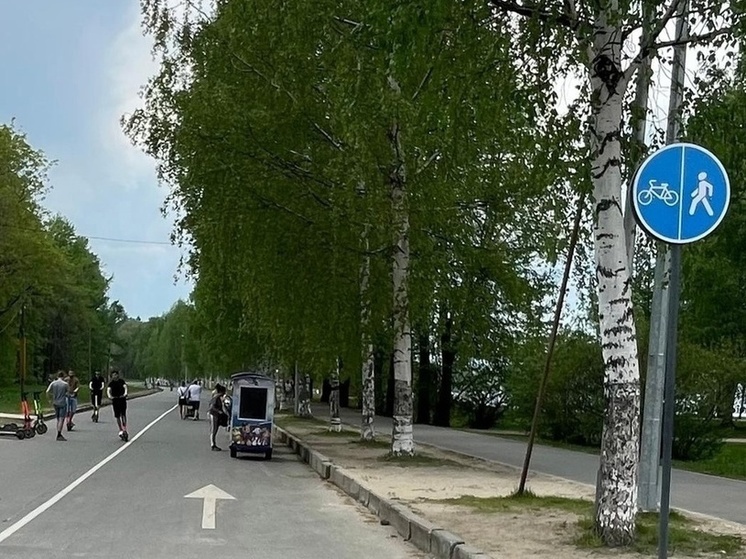 Девочка пострадала в столкновении электросамокатов в Петрозаводске