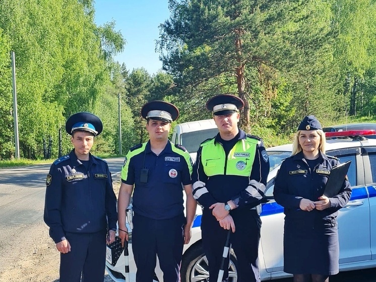 Во Владимирской области проведен рейд «Дорожный пристав»