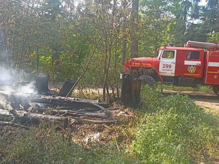 Специалисты дали огненный прогноз в Подмосковье до 1 июня