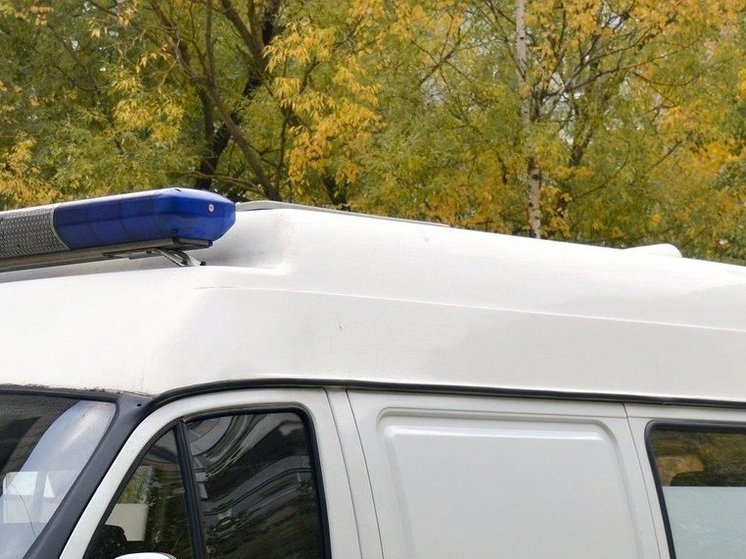 Выбросившего двухлетнюю дочь в окно россиянина отправили в психбольницу