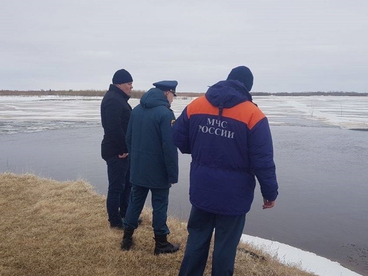 В Великовисочный сельсовет направили опергруппу ГУ МЧС РФ по НАО