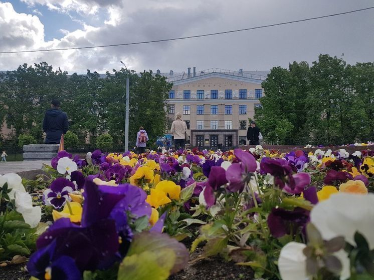 Стали известны цены на обучение в главном ВУЗе Карелии