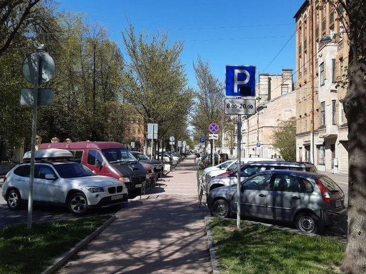 Многодетные семьи в Петербурге смогут получить льготу на аренду паркинга