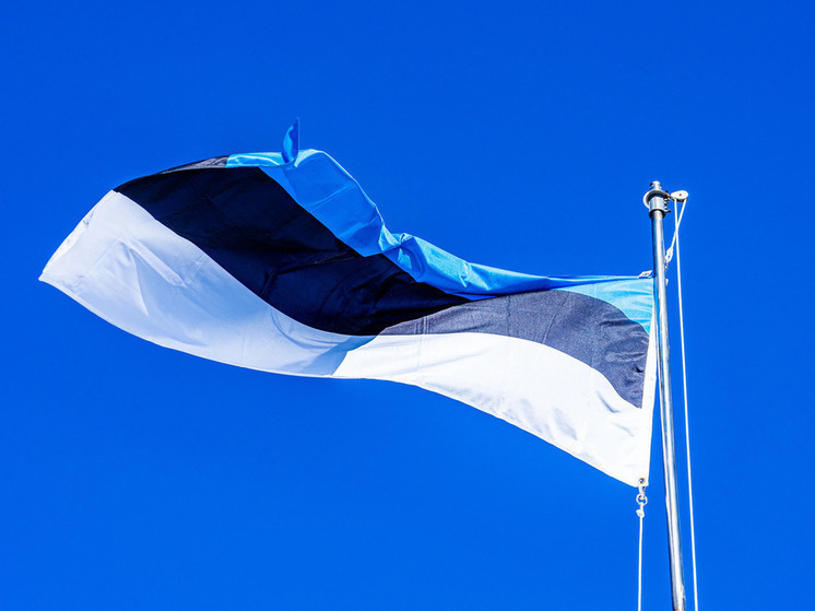 Президент Эстонии подписал закон об использовании замороженных активов РФ для финансирования Киева