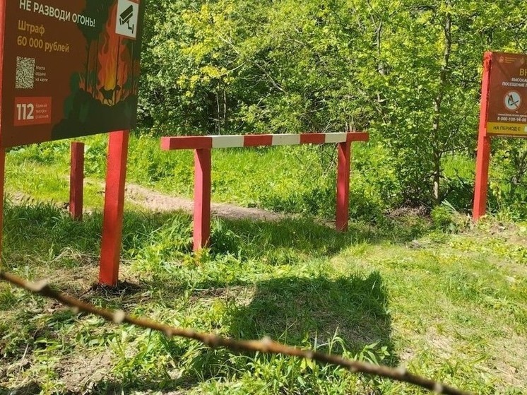 В лесах Подмосковья установили около 150 новых шлагбаумов