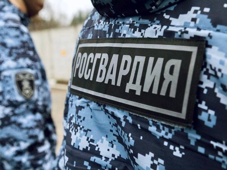 В Подмосковье задержали грабителя, объявленного в федеральный розыск