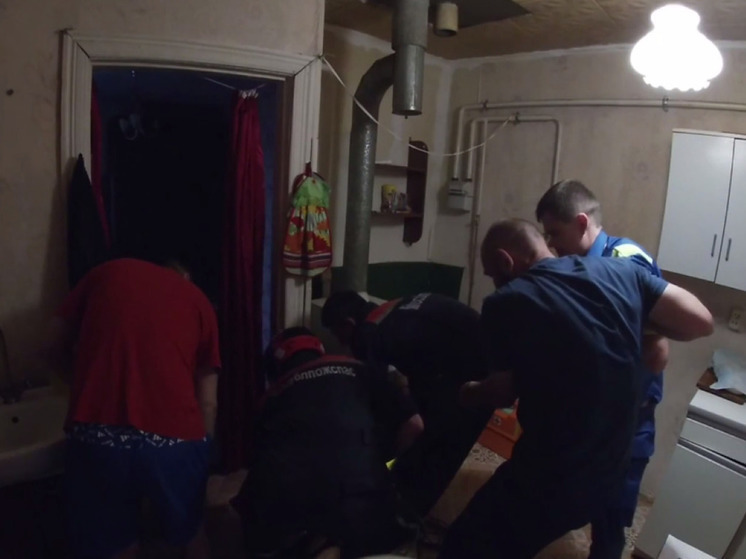 Подмосковные спасатели эвакуировали из погреба пенсионерку