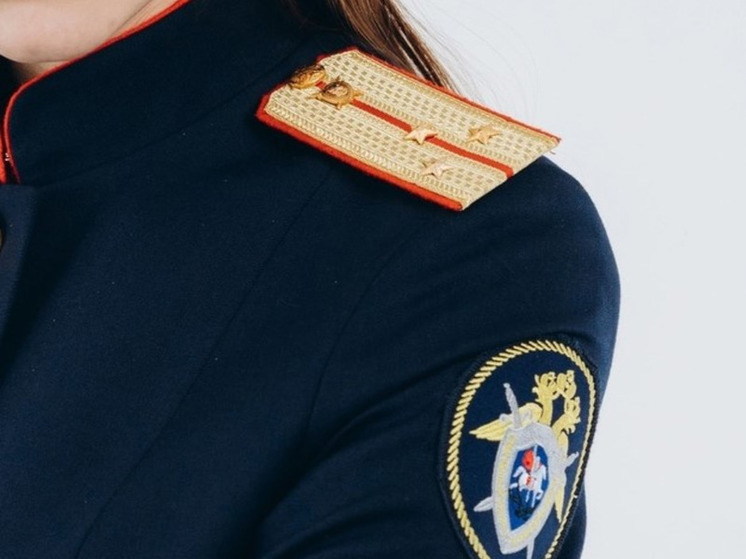 Подросток, забиравший деньги у бабушек, предстанет перед судом в Карелии