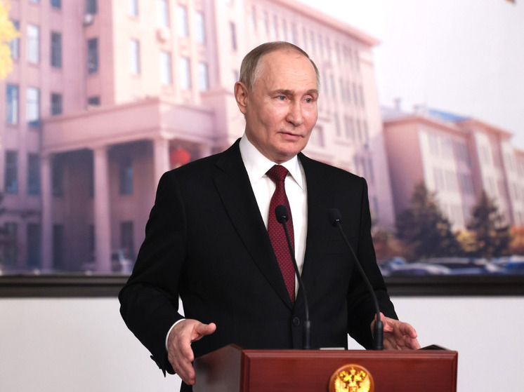 Многодетная семья из Соснового Бора побеседовала с Владимиром Путиным по телемосту