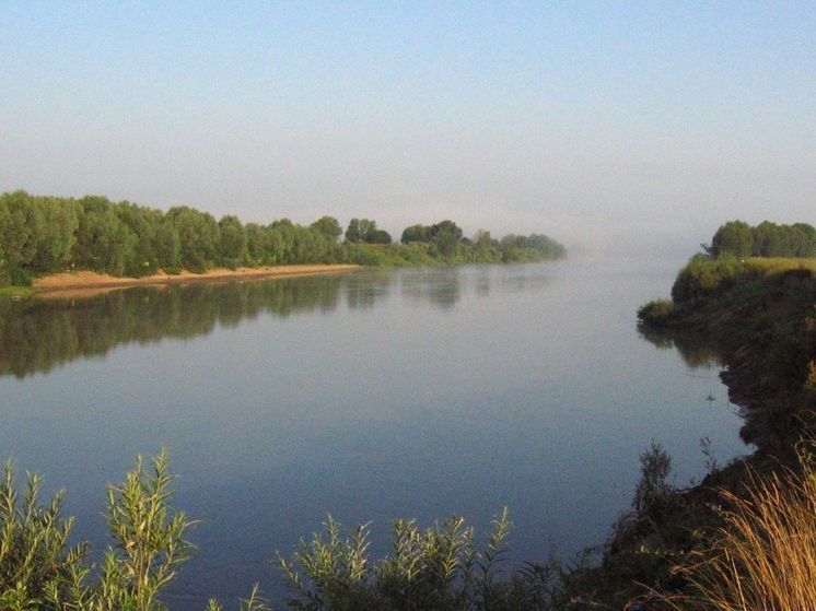 Парень утонул в подмосковной Клязьме на первом свидании