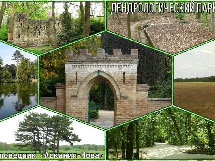 Заповедник «Аскания-Нова» на Херсонщине подчинят Минприроды РФ