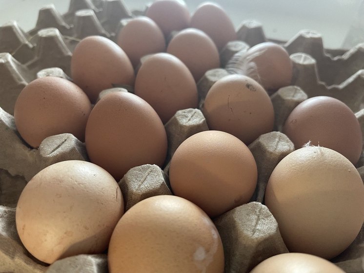 Пензенцам рассказали о продуктах, которые замедляют рост раковых клеток