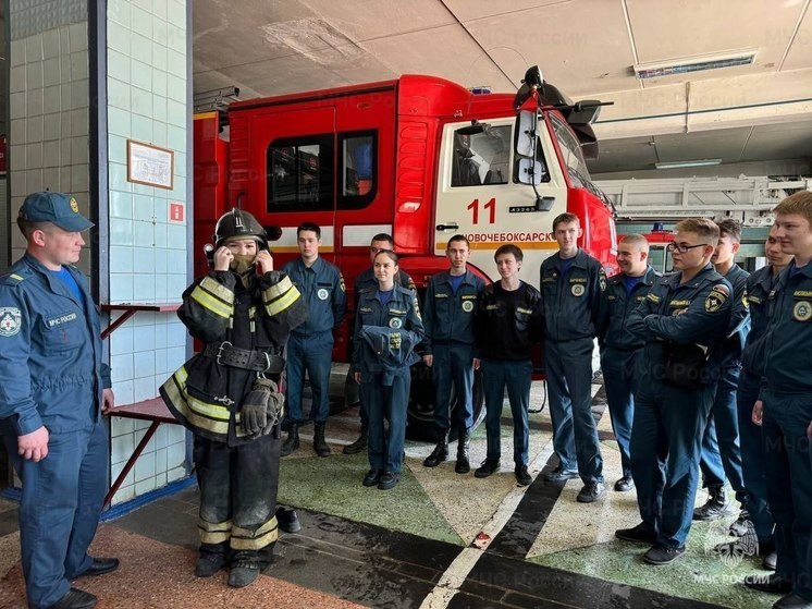 В Калининградской области голый мужчина застрял в дымоходе В Калининградской области голый мужчина застрял в дымоходе
