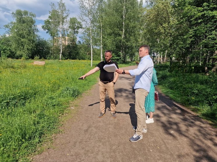 В Тосненском парке планируют построить воркаут-площадку