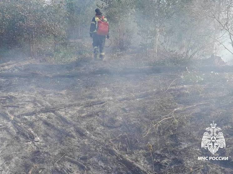 Спасатели ликвидировали горение лесной подстилки в Тверской области