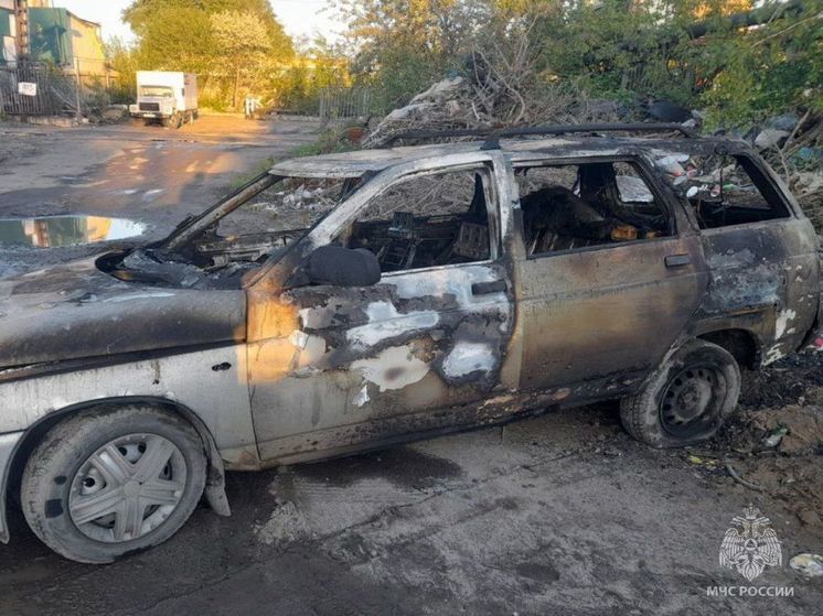 Автомобиль Лада сгорел в линейке капитальных гаражей в Томске