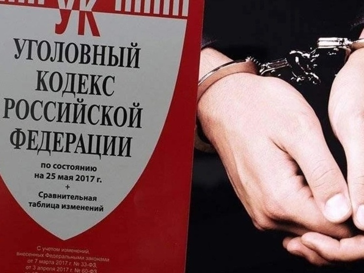 Житель Рыбинска совершил больше 20 краж из продуктовых магазинов