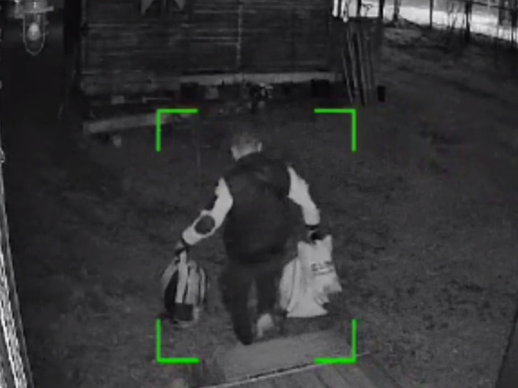 Двоих уголовников задержали в Рузском округе за неудавшийся грабеж