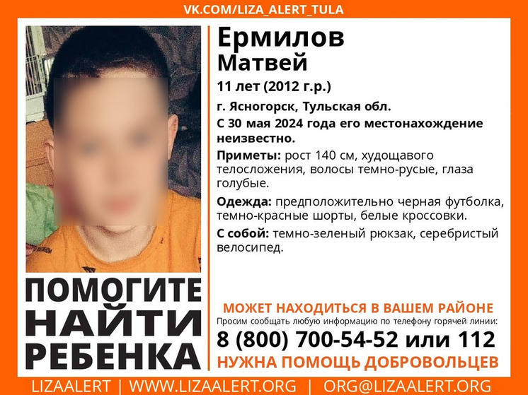 В Тульской области пропал 11-летний мальчик на велосипеде
