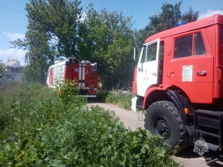  Сараи на площади 40 квадратных метров сгорели в Орле