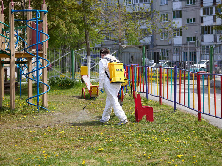 В Южно-Сахалинске детсады и школы обработали от клещей