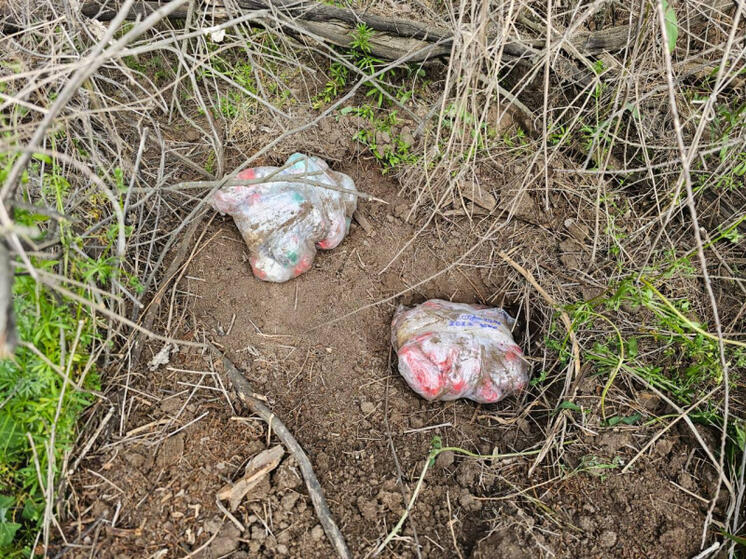 Жители Волгограда пытались приобрести в Астрахани оптовую партию эфедрона