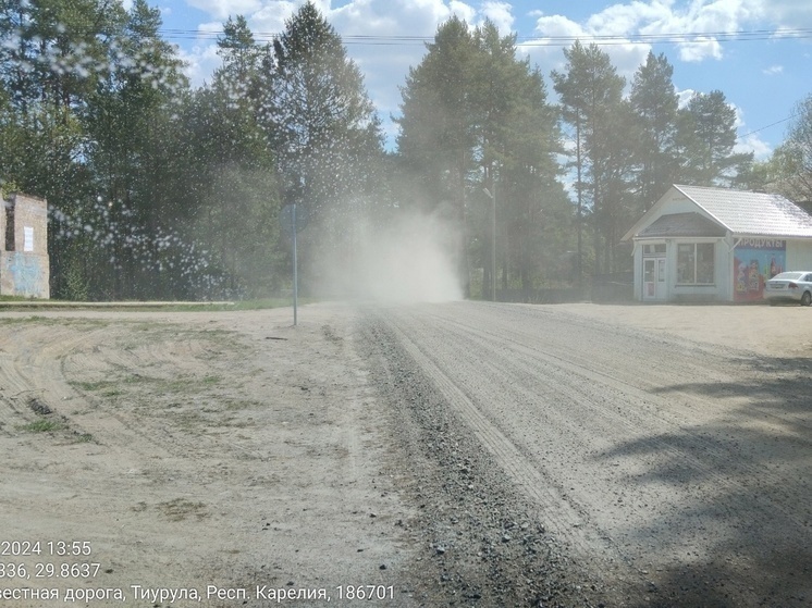 Жители поселка в Карелии, задыхающиеся от пыли, запишут видеообращение к Путину