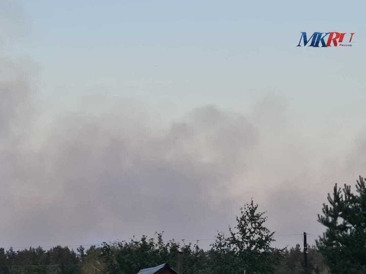 В Рязанской области произошёл шестой лесной пожар после начала сезона