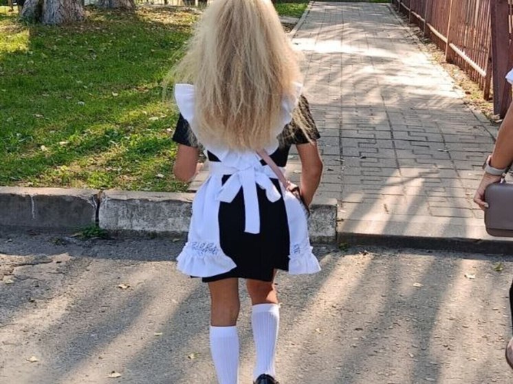 Школьную форму планируют ввести в ДНР