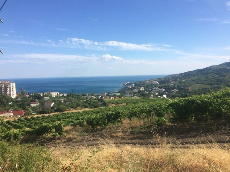 В Крыму согласовали Сергея Ганзия на должность главы Минкурортов республики