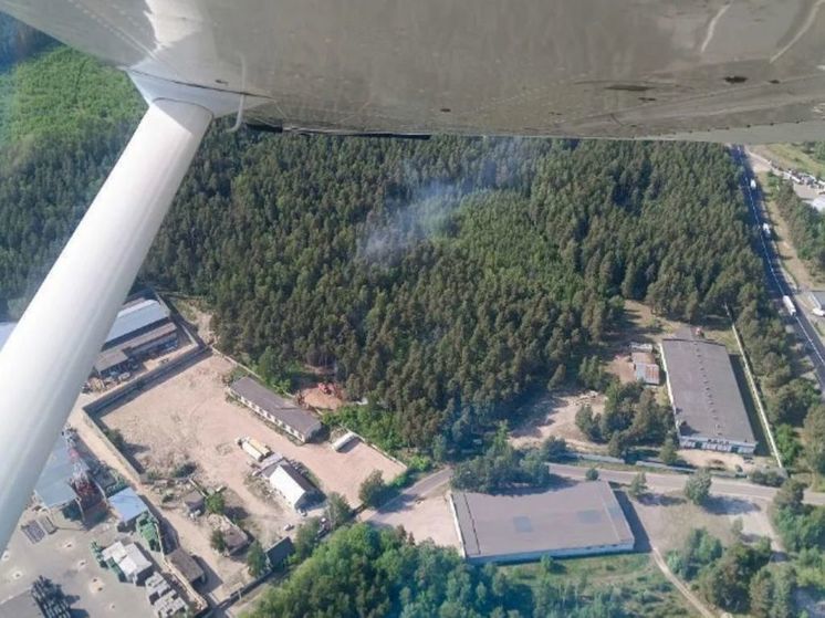 В Богородском округе в 1 км от села потушили лесной пожар